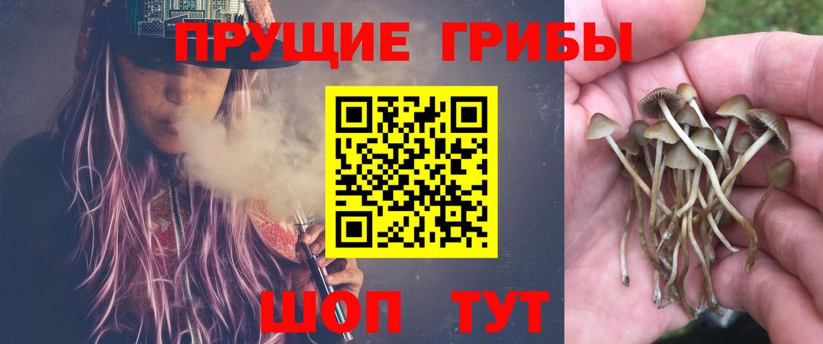 Псилоцибиновые грибы Cubensis  Вход с VPN  Галлюциногенные грибы прущие грибы  Бахчисарай 